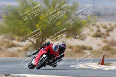 media/Apr-10-2022-SoCal Trackdays (Sun) [[f104b12566]]/Turn 5 Tree of Life (1040am)/